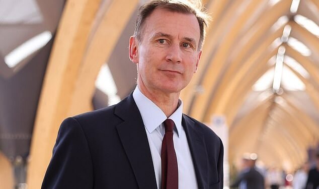The Chancellor is not expected to increase the £20,000 annual allowance or make changes to the lifetime Isa