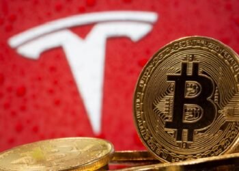 Cybertruck designer says Tesla stainless steel pickup is no experiment By Reuters