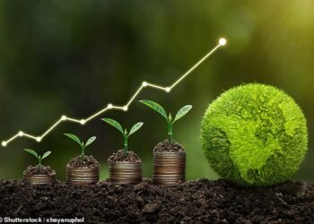 Sustainability: Investors will benefit from putting their money behind green funds and technology firms should inflation and interest rates fall, Brewin Dolphin has recommended