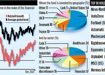 NUTSHELL GROWTH: The global investing minnow that says it will beat Fundsmith next year