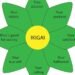 Ikigai: Are You Doing What Brings You Joy?