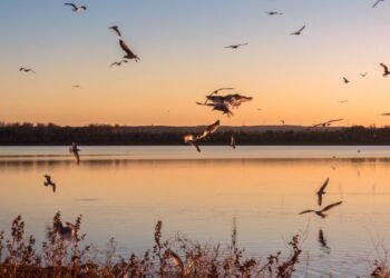 Condé Nast Traveler