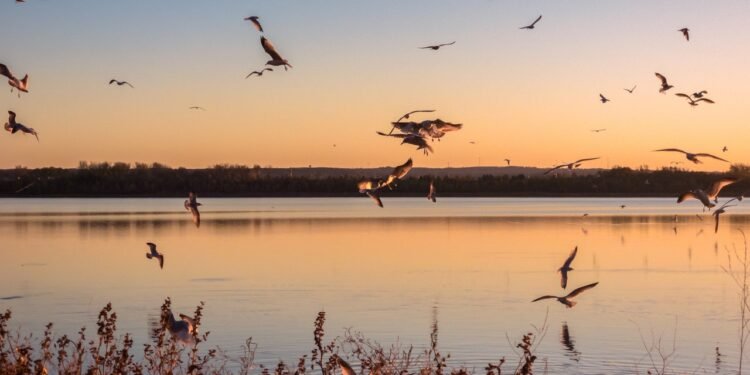 Condé Nast Traveler