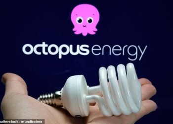 Change of fortune: Octopus had made a loss every year since it launched in 2016 but it soared to a £203m profit in the 12 months to the end of April
