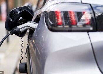 Service stations have started to employ marshals to deal with the frustrated motorists who are stuck in the long lines which snake across their forecourt