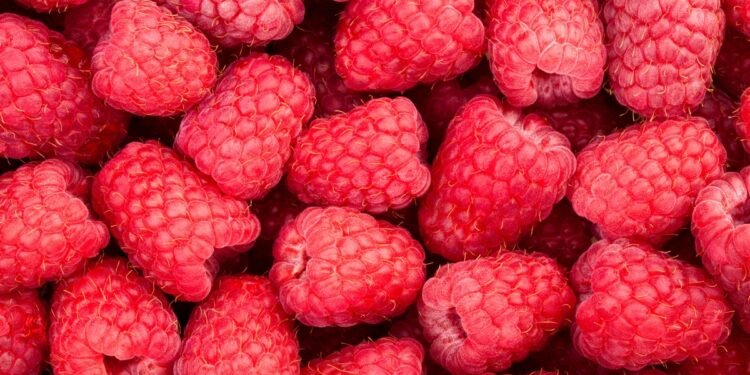 Raspberry Robin Jumps on 1-Day Bugs to Nest Deep in Windows Networks