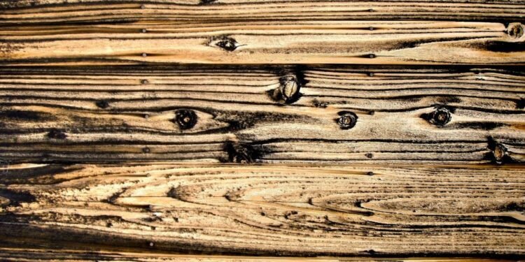The Benefits of Using Charred Lumber in Your Next Woodworking Project