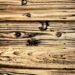 The Benefits of Using Charred Lumber in Your Next Woodworking Project
