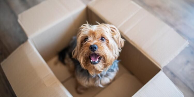 1 Growth Stock Trading at an All-Time-Low Valuation That Could Rise by 97%, According to Wall Street