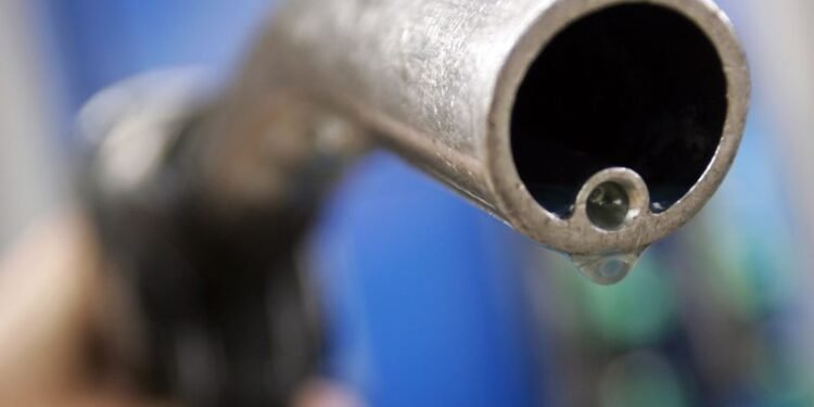 Oil rebounds after surprise drop in US crude, gasoline stocks By Reuters