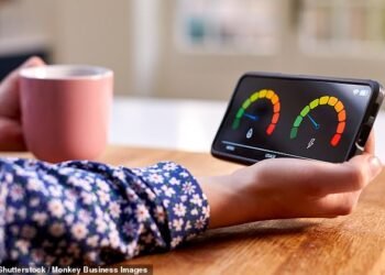 Teething problems: The £13.5bn rollout of smart meters - paid for through higher gas and electricity bills - enables usage in the home to be read remotely by energy companies