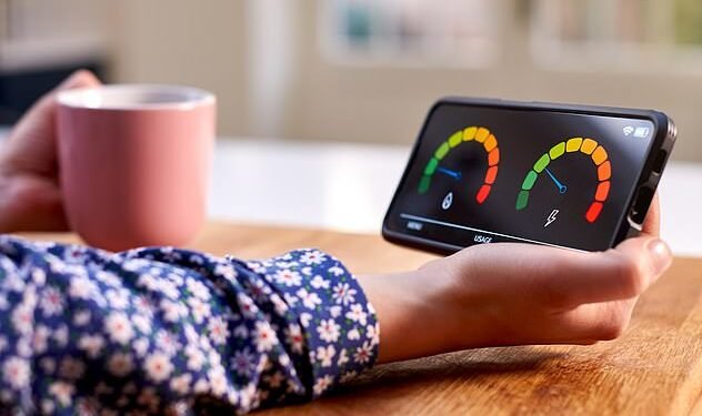 Teething problems: The £13.5bn rollout of smart meters - paid for through higher gas and electricity bills - enables usage in the home to be read remotely by energy companies