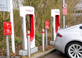Scottish Mortgage has been a long-term holder of Tesla and seen the shares rocket but other disruptive bets have not paid off recently