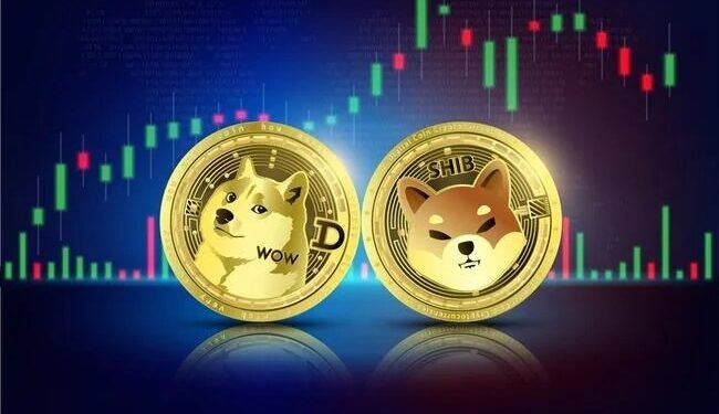 Shiba Inu Dogecoin