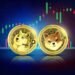 Shiba Inu Dogecoin