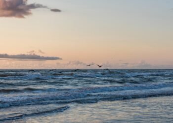 Condé Nast Traveler