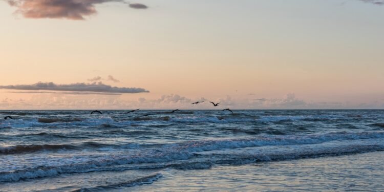 Condé Nast Traveler