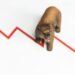 Bitcoin Bear