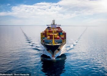 Different route: Many shipping companies have halted all transit through the Suez Canal amid threats of attacks by the Houthis, a militant organisation controlling much of Yemen