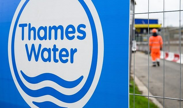 Debt ridden: Thames Water shareholders are demanding Ofwat agree that water bills can rise by 40% over five years starting in 2025