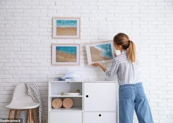 Sunny days ahead: Other bets on DIY, furniture and furnishings are worth considering