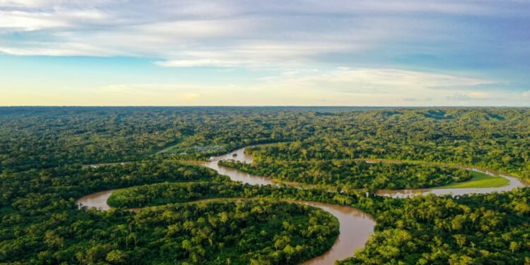 How Ecuador's Delicious Food Scene Unlocks the Country's Secrets