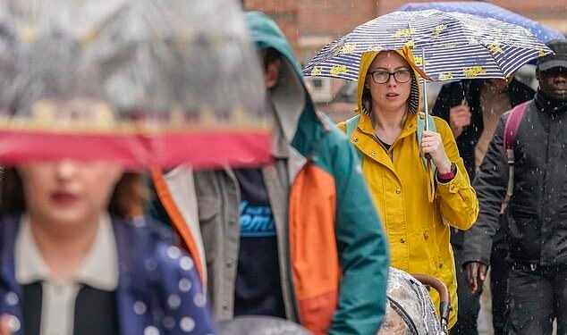 Damp days: Wet weather and lower inflation led to take-home supermarket sales rising at their slowest pace for two years, according to new figures from Kantar