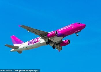 Pay spat: Wizz Air faces another shareholder revolt over boardroom pay