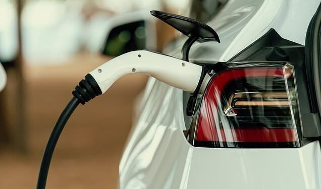 BUSINESS LIVE: Lloyds ups dividend; ITV lifted by Love Island; Unilever sales disappoint