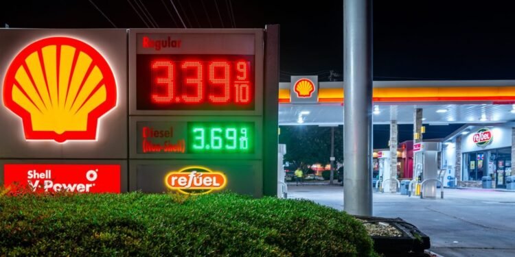 Profile photo of Taryn Phaneuf