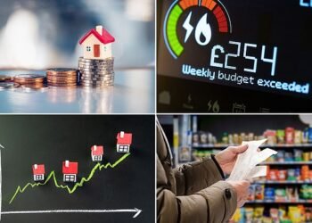Deep dive: The study looked at the cost of buying and running a home, including mortgage and rental costs and household bills, maintenance and purchase of household goods