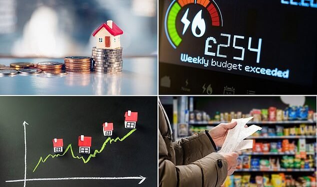 Deep dive: The study looked at the cost of buying and running a home, including mortgage and rental costs and household bills, maintenance and purchase of household goods