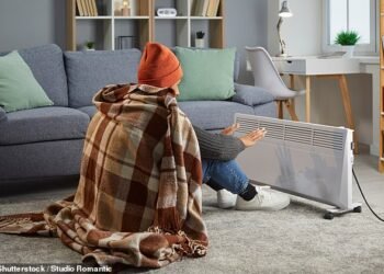 Frozen out: Energy bill rise comes as colder weather sets in and homes begin to need heating