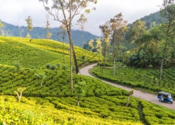 Condé Nast Traveler