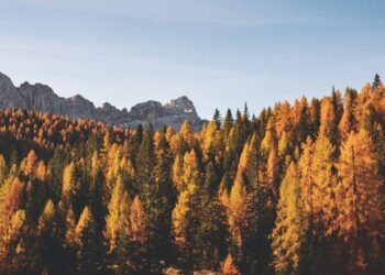 Condé Nast Traveler