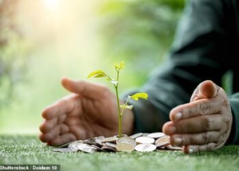 Growth prospect: Investing in VCTs can deliver considerable gains by allowing smaller firms to flourish
