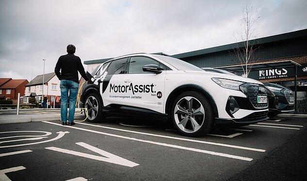 Two in three EV owners said they would expect an electric courtesy car while theirs is off the road being repaired - and they would reject a petrol or diesel alternative
