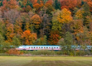 7 Fall Foliage Train Rides With the Most Scenic Views