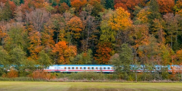 7 Fall Foliage Train Rides With the Most Scenic Views
