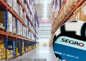Different approach: Tritax EuroBox has struck a new takeover proposal with Brookfield that trumps a previous offer from property developer Segro