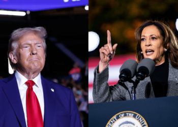 Trump, Harris