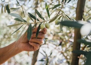 Condé Nast Traveler