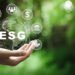 Investors' 'love affair' with ESG continues to cool