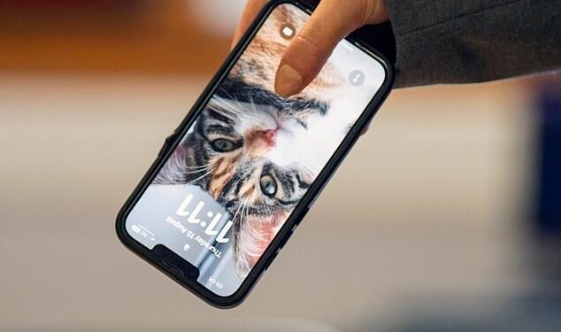 Don't leave an old phone in a drawer, far better to trade or cash it in to release some cash