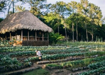 Condé Nast Traveler