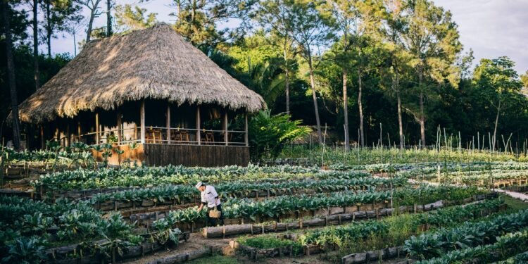 Condé Nast Traveler