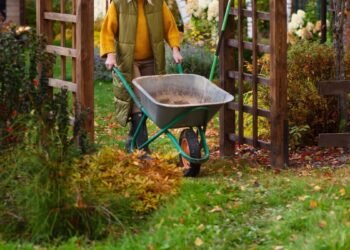 My 11 Favorite Tools for Fall Yard Clean-Up