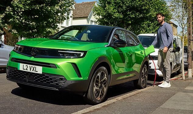 Sparking debate: Numbers don't add up for electric vehicles