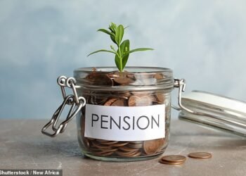 Search: Locating their missing retirement nest eggs could be a much needed boost for the 19 per cent of workers who are concerned they do not have enough money to retire