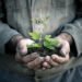 Paul Harper: What advisers should expect in the next 12 months